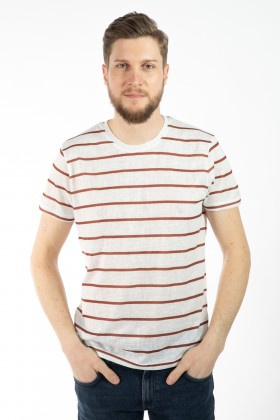 TRICOU PORTOCALIU REGULAR FIT D'S DAMAT